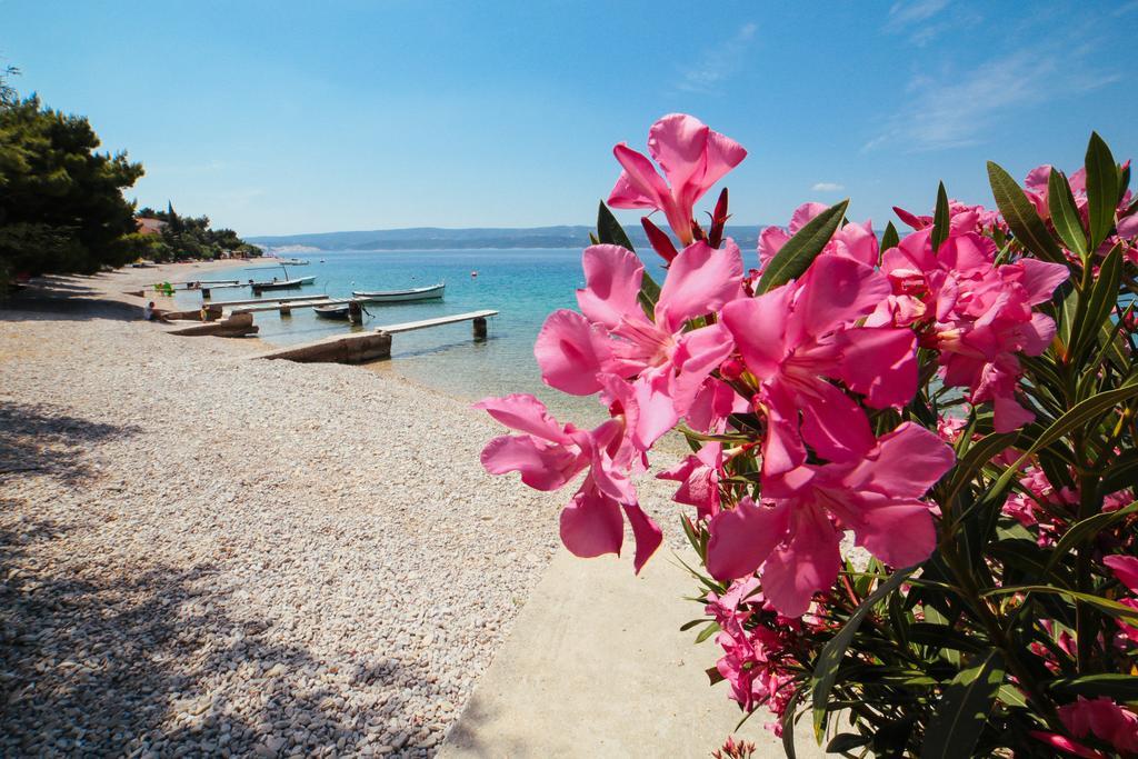 Apartments Dada Omiš Εξωτερικό φωτογραφία